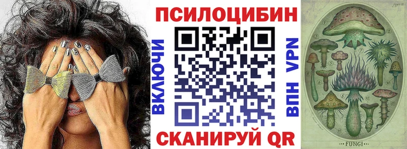 это какой сайт  Кувшиново  Галлюциногенные грибы MAGIC MUSHROOMS 